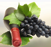 Veritas Winery